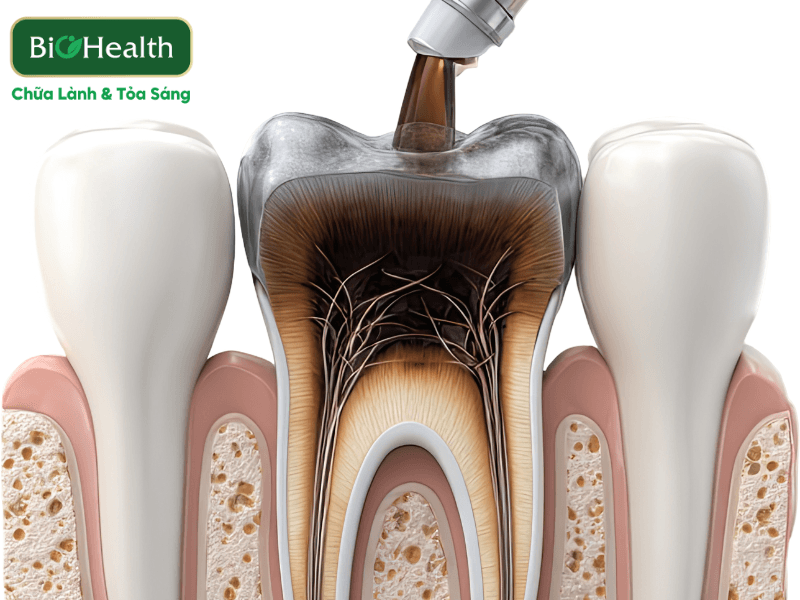 Lợi ích vượt trội khi người lớn chuyển sang sử dụng kem đánh răng thuần chay - BioHealth