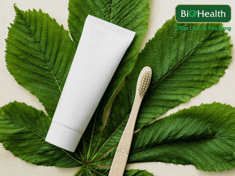Kem đánh răng thuần chay cho người lớn khác gì so với dòng thông thường? BioHealth