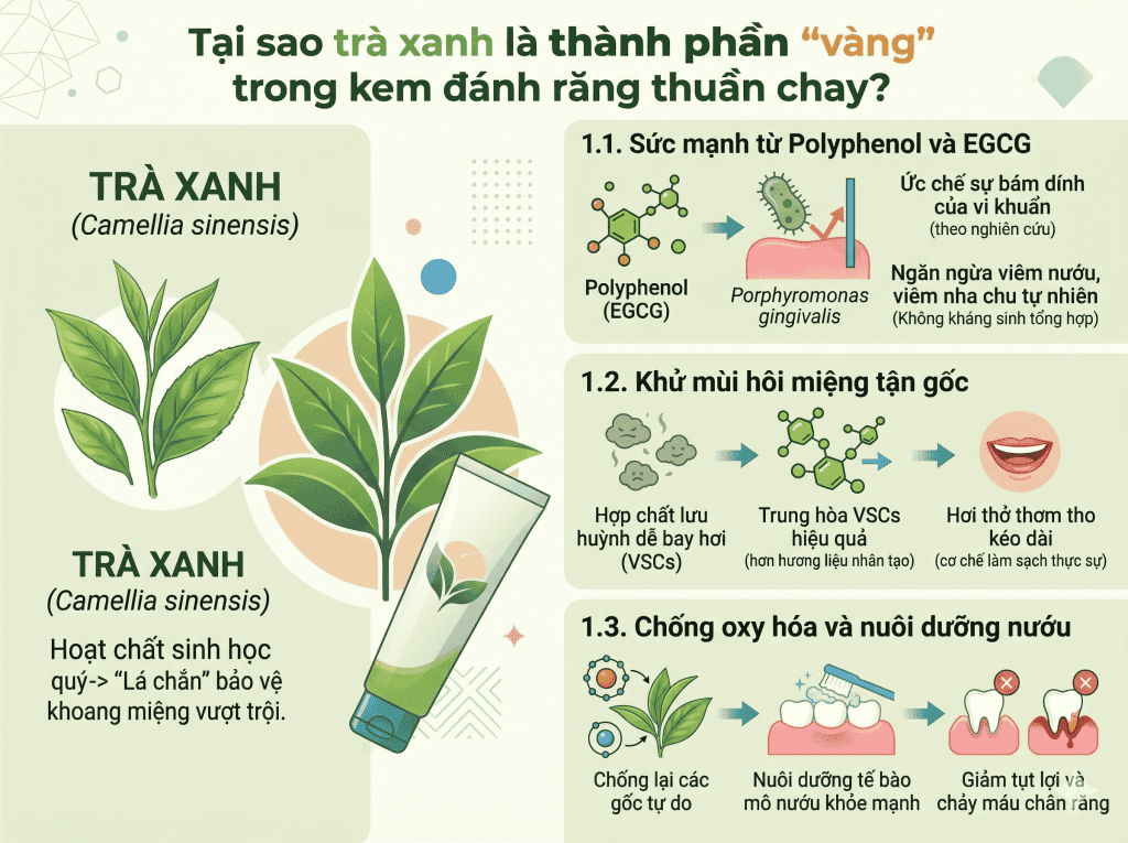 Tại sao trà xanh là thành phần "vàng" trong kem đánh răng thuần chay? BioHealth