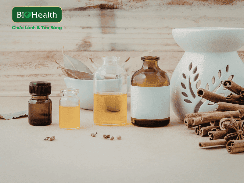Top các thành phần thảo mộc tạo nên chất lượng của kem thuần chay giá rẻ - BioHealth