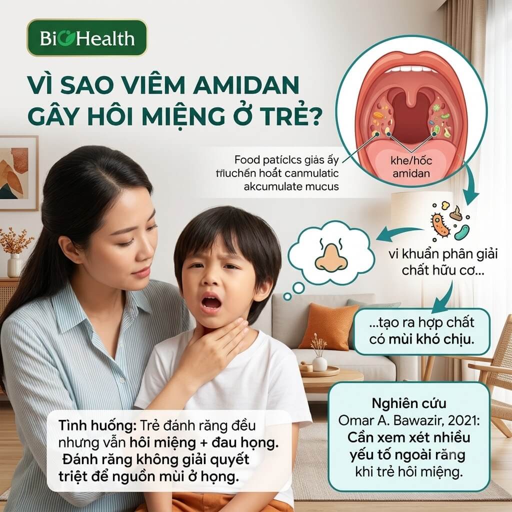 Vì sao viêm amidan có thể liên quan đến hôi miệng?