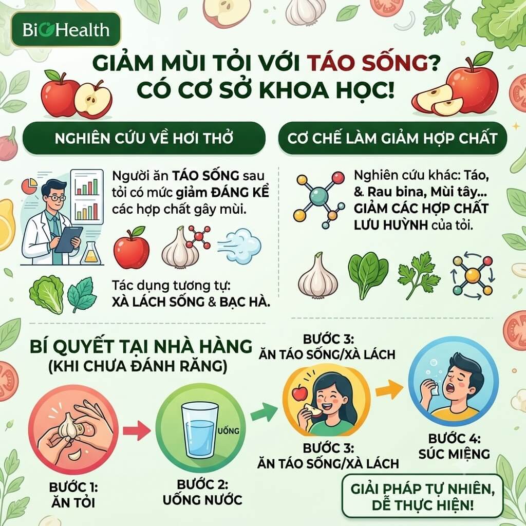 Ăn táo sau khi ăn tỏi có thực sự làm bớt mùi không?