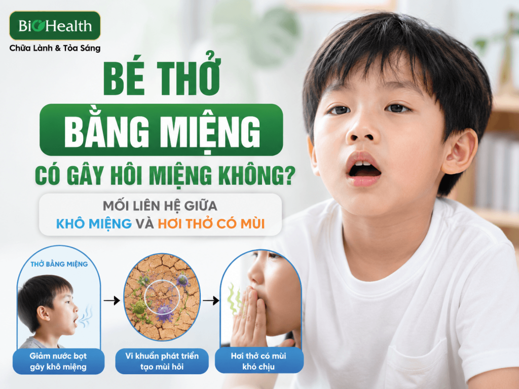 Bé thở bằng miệng có gây hôi miệng không? Mối liên hệ giữa khô miệng và hơi thở có mùi