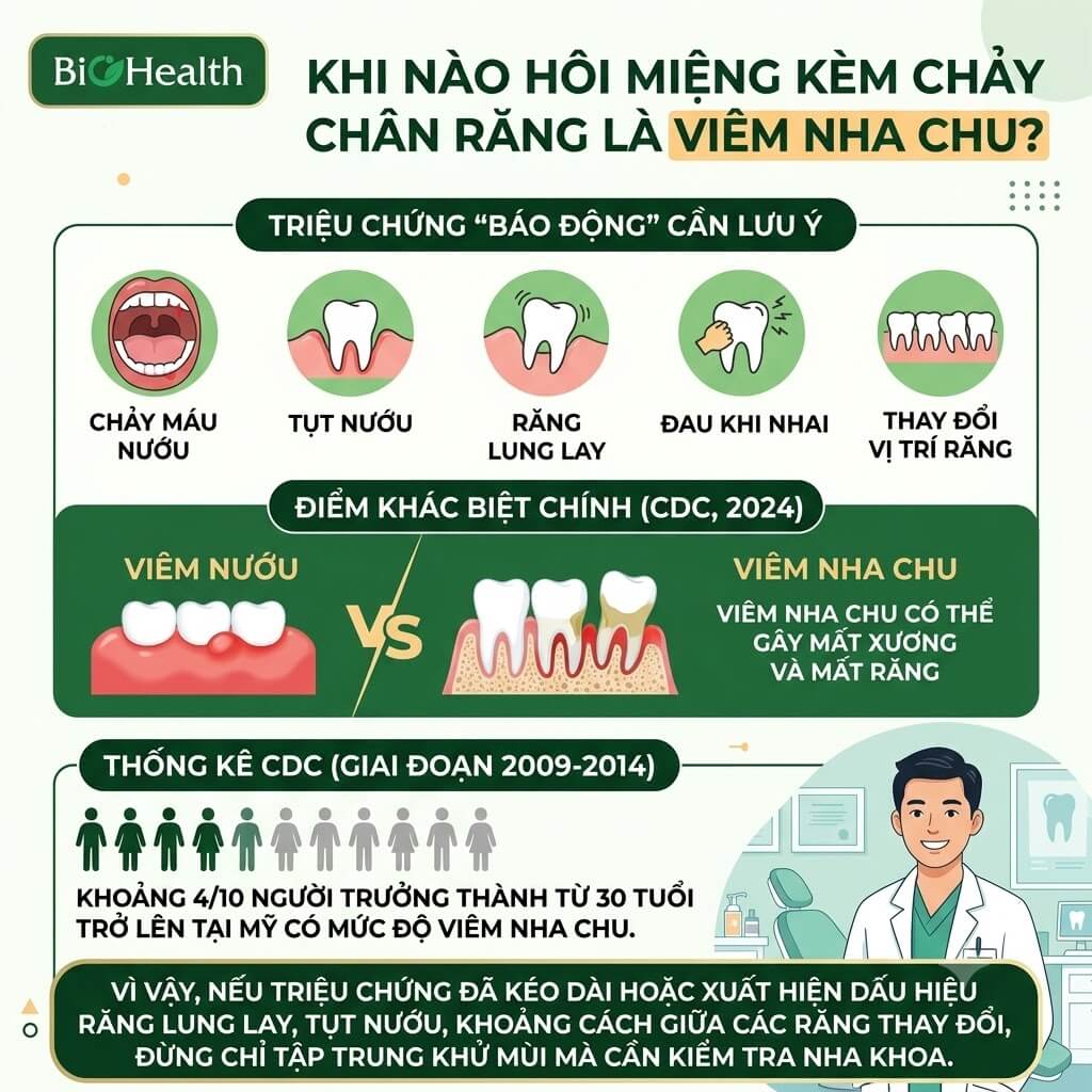 Khi nào hôi miệng kèm chảy máu chân răng là viêm nha chu?