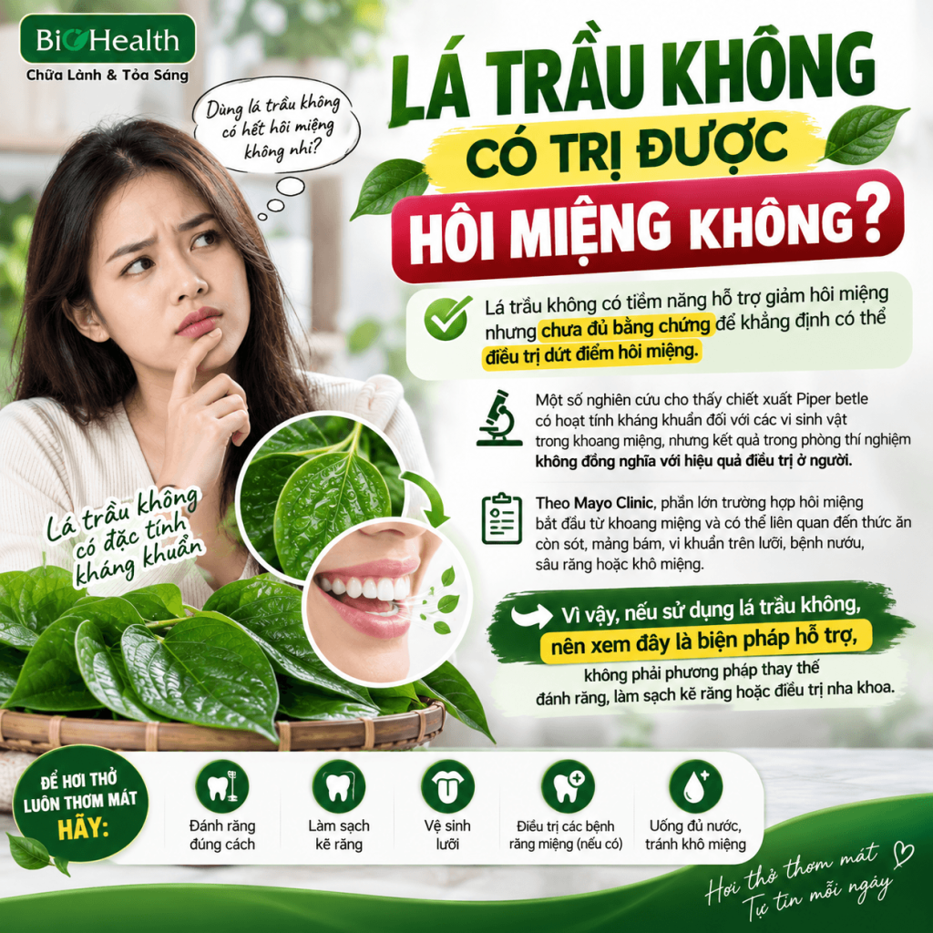 Lá trầu không có trị được hôi miệng không?