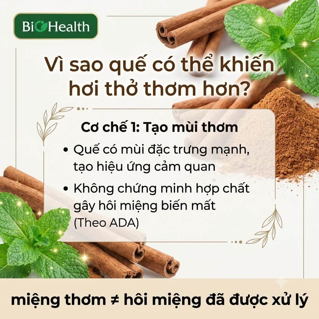 Vì sao quế có thể khiến hơi thở thơm hơn?
