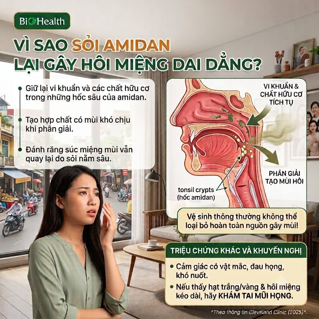 Vì sao sỏi amidan lại gây hôi miệng rất dai dẳng?