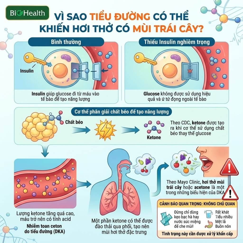 Vì sao tiểu đường có thể khiến hơi thở có mùi trái cây?